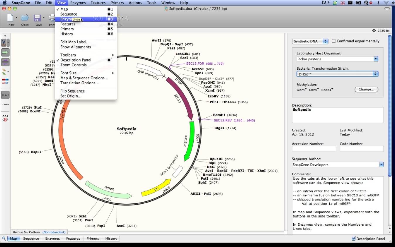 SnapGene 7.4.4 Registration Code + Latest version 2024